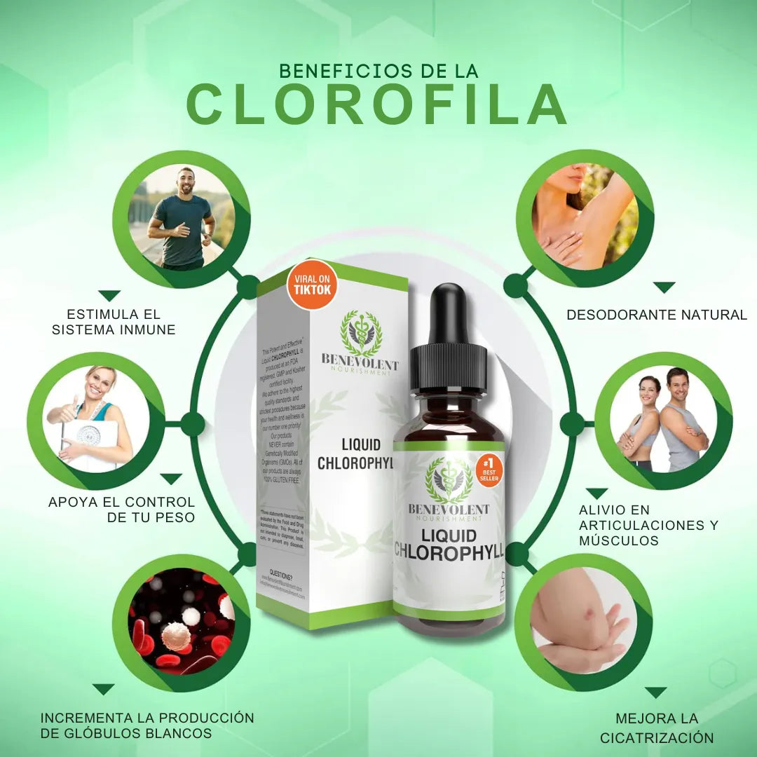 CLOROFILA BENEVOLENT